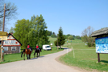 Kněžice